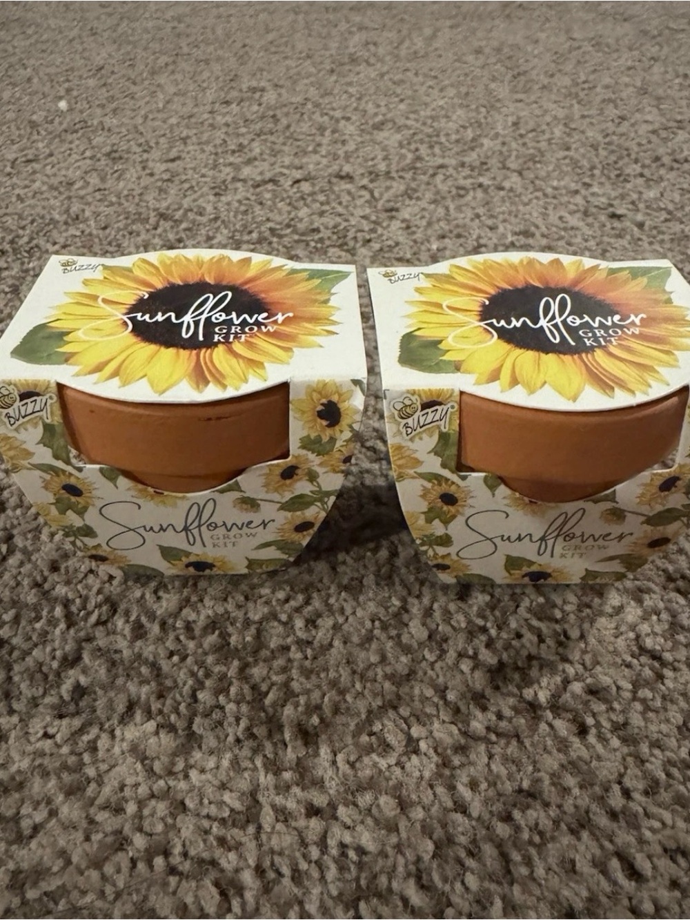 Sunflower Kit - Picture 2 of 3